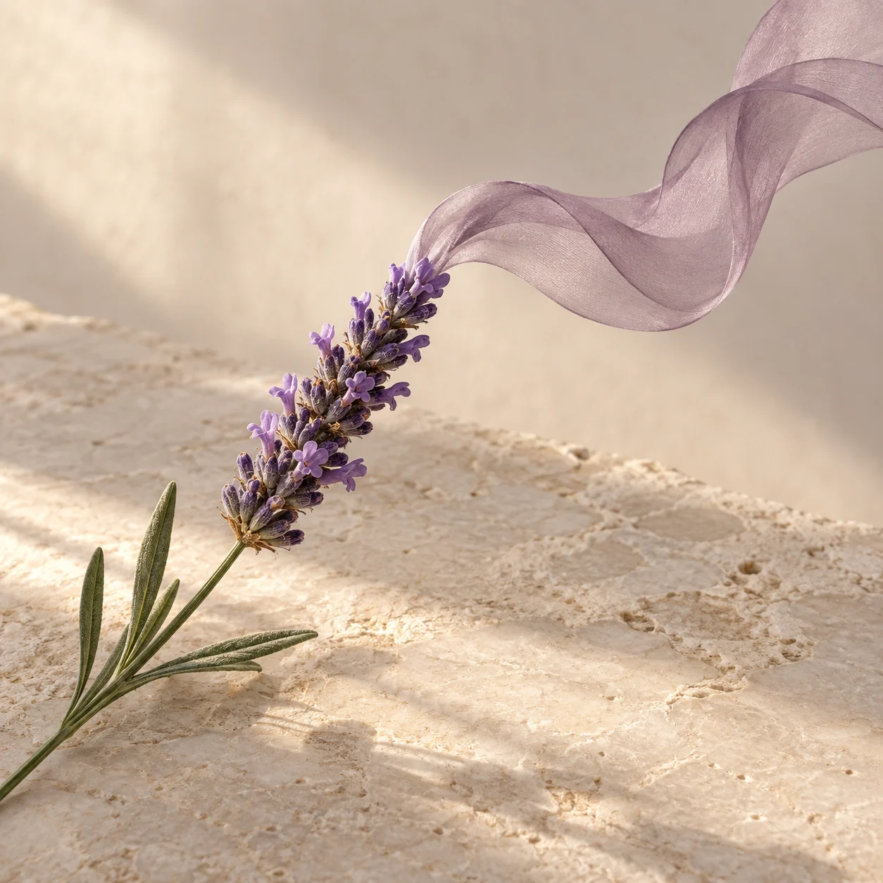 Un brin de lavande posé sur une pierre claire, d’où s’élève un voile mauve qui figure la senteur